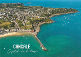 35 CANCALE - Capitale Des Huitres - Cpm - Vierge - - Cancale