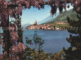 72399585 Malcesine Lago Di Garda Panorama Malcesine - Otros & Sin Clasificación