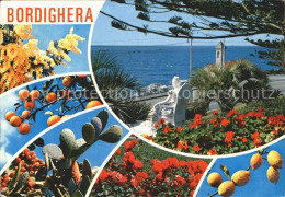 72399395 Bordighera Monument Regina Margherita Savoia Zitronenbaeume Kakteen Bor - Otros & Sin Clasificación