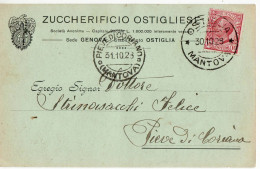 1881 MANTOVA OSTIGLIA ZUCCHERIFICIO X PIEVE DI CORIANO - Poststempel