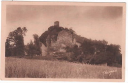 VICQ SUR BREUIL  Ruines Du Château Féodal - Otros & Sin Clasificación