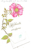 Carte Postale Ancinée 1907 - Joli Fleur - Souhaits Sinceres  -( Il Ya Une Petit Carte Dans L'enveloppe). - Sonstige & Ohne Zuordnung