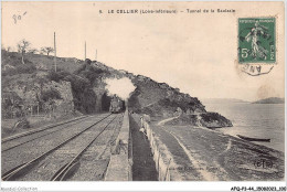 AFQP3-44-0252 - LE CELLIER - Tunnel De La Saulzaie TRAIN LOCOMOTIVE - Le Cellier