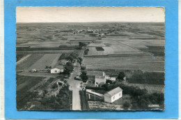 17  .ST - MARTIN  De  RE  ,  Vue Générale De L ' Ile De Ré - Vue Du Phare .cpsm  10,5 X 15 . - Saint-Martin-de-Ré