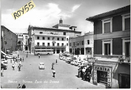 Abruzzo-pescara-penne Piazza Luca Da Penne Veduta Piazza Negozi Auto Corrirera Alla Fermata Animatissima Anni 60 - Autres & Non Classés