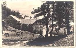 FR66 FONT ROMEU - Carte Photo - L'ermitage - Belle - Sonstige & Ohne Zuordnung