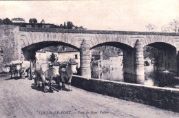 89 - Yonne -  COUSIN Le PONT ( Avallon ) - Pont Du Gour Vallon - Bel Attelage De Boeufs - Avallon