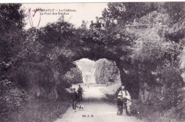 51 - Marne  - BOURSAULT - Le Chateau - Le Pont Des Roches - Sonstige & Ohne Zuordnung