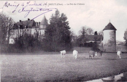 18 - Cher - BRECY - Le Pré Du Chateau - Other & Unclassified