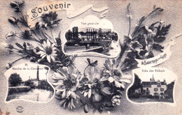 71 - Saone Et Loire - Souvenir De SALORNAYE Sur GUYE - Moulin De La Clochette - Villa Des Tilleuls -  - Andere & Zonder Classificatie