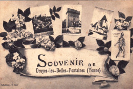 89  - Yonne - Souvenir De DRUYES Les BELLES FONTAINES - Multivues - Altri & Non Classificati