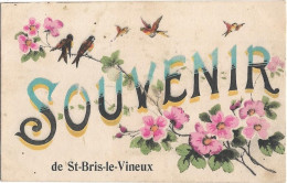 CPA - Souvenir De ST BRIS LE VINEUX - Saint Bris Le Vineux