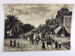 VIAREGGIO : Viale Della Liberta - 1949 - Pliure Coin Inférieur Droit - Viareggio