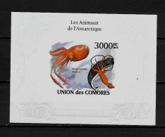 Comores 2009 Animals Of The Antarctic IMPERFORATE MS MNH - Marine Life