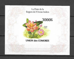 Comores 2009 Flowers IMPERFORATE MS MNH - Sonstige & Ohne Zuordnung