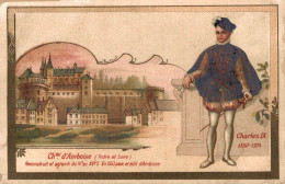 CHROMO CHICOREE ORIENTALE C. BERIOT A LILLE CHATEAU D'AMBOISE (INDRE ET LOIRE) CHARLES IX 1550-1574 - Thee & Koffie
