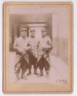 006 (Militaria) Photo Depin Sur Carton, 17 RI Régiment Infanterie - Guerre, Militaire