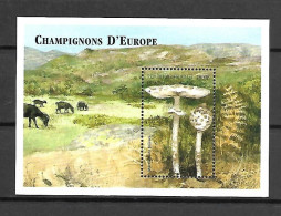 Comores 1999 European Mushrooms MS #2 MNH - Funghi