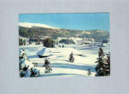 (39) : Le Jura En Hiver - Les Champs De Neige - Altri & Non Classificati