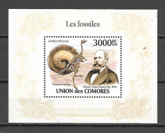 Comores 2009 Fossils MS #2 MNH - Fósiles