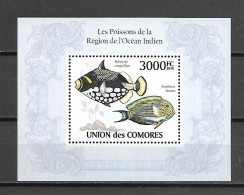 Comores 2009 Fishes Of The Indian Ocean MS #2 MNH - Fishes