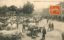 CPA-31- MONTRÉJEAU - Place De La Salle - Marché Aux Bestiaux * Edit. Vaqué *2 Scans - Montréjeau