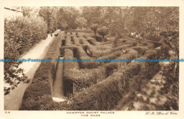 R149642 Hampton Court Palace. The Maze. Office Of Works. John Swain - Monde