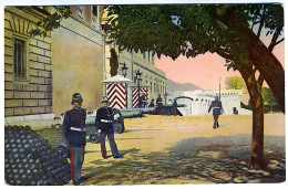 MONACO - L'Entrée Du Palais Et Les Carabiniers - Palazzo Dei Principi