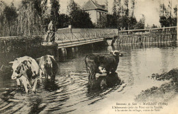 - MAILLOT (89) - L'abreuvoir Et Le Pont De La Vanne (beau Plan)  -27085- - Autres & Non Classés