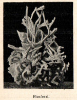 Flosferri - Minerali - Stampa Epoca - 1926 Vintage Print   - Stiche & Gravuren