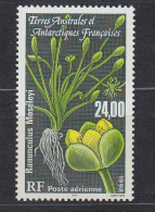 TAAF 1998 Flora / Plant Ranunculus Moseleyi 1v  ** Mnh (60017) - Ungebraucht