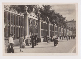 Soviet Union USSR Russia Sowjetunion LENINGRAD - SAINT PETERSBURG Summer Garden, 1950s Photo Postcard RPPc AK (48994) - Rusia