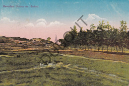 Postkaart - Carte Postale - Beverlo - Duinen Van Hechtel (C5943) - Beringen