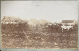Joigny - Photo Ancienne Format Cabinet 1895 - Scène De Labour Dans Le Village - Agriculture - Photographe CHARRIER - Joigny