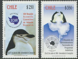 ARCTIC-ANTARCTIC, CHILE 1998 ANTARCTIC RESEARCH, PENGUINS** - Programmi Di Ricerca