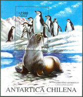 ARCTIC-ANTARCTIC, CHILE 1999 ANTARCTIC FAUNA S/S** - Fauna Antártica