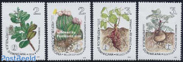 Dominican Republic 1995 Flora 4v, Mint NH, Nature - Cacti - Flowers & Plants - Sukkulenten