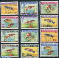 Guinea, Republic 1964 Fish 12v, Mint NH, Nature - Fish - Poissons