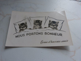 BC29-25 Cpa  Fantaisie Chat  Porte Bonheur - Autres & Non Classés