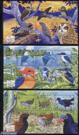 Solomon Islands 2004 Bird Festival 3 S/s, Mint NH, Nature - Birds - Birds Of Prey - Owls - Islas Salomón (1978-...)