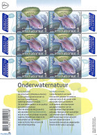 Netherlands 2024 Europa, Marine Life M/s, Mint NH, History - Nature - Europa (cept) - Fish - Unused Stamps