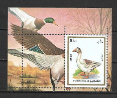 Fujeira 1972 Birds - Ducks MS MNH - Fujeira