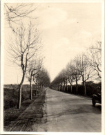 Photographie Photo Vintage Snapshot Amateur Route Perspective Ligne Horizon  - Andere & Zonder Classificatie