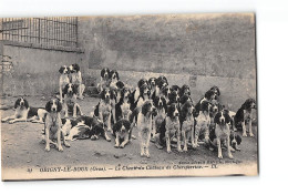 ORIGNY LE ROUX - Le Chenil Du Château De Chereperrine - Très Bon état - Autres & Non Classés