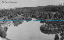 R149774 The Park. Carnarvon. Valentine. 1911 - Monde