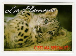CPM La Flemme  C'EST MA SPECIALITE !  N.95-64 LES FUNNYS Carte Neuve - Humor