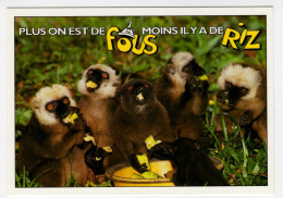 CPM PLUS ON EST DE FOUS MOINS IL Y A DE RIZ  N.9536 LES FUNNYS Carte Neuve - Humor