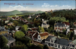 CPA Wernigerode Am Harz, Am Lindenberge - Andere & Zonder Classificatie