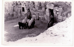 Bethanie - Tomb Of Lazar - Palestina