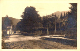 BRASOV - NOA : HAUPTSTRASSE - RESTAURANT TANNENAU & HOTEL RESTAURANT A. SCHNEIDER - REAL PHOTO ~ 1910 - '915 (an828) - Rumania